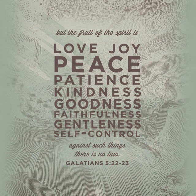 GodProvider_SRQ's tweet photo. #HolySpirit #GodsLove #OurHope https://t.co/3C2YIubEfu