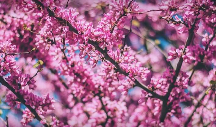 AdornSalon's tweet photo. Check out our Spring Spa Specials! We have Mani/Pedi and Facial/Massage packages https://t.co/eUn4Z35U0q #avl https://t.co/phqhMUHVLm