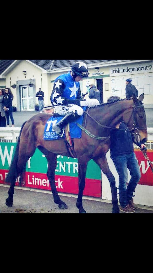 BlueBloodRacing's tweet photo. Our mare Miss Me Now gets an entry @TauntonRacing in the Mares Novice Hurdle @WillieMullinsNH @PTownend @davym15 https://t.co/qyIiCkV60R