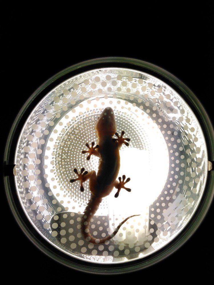 TechuMartinez's tweet image. Visita recurrente. 
Hay algo que no sé en los entresijos del edificio?