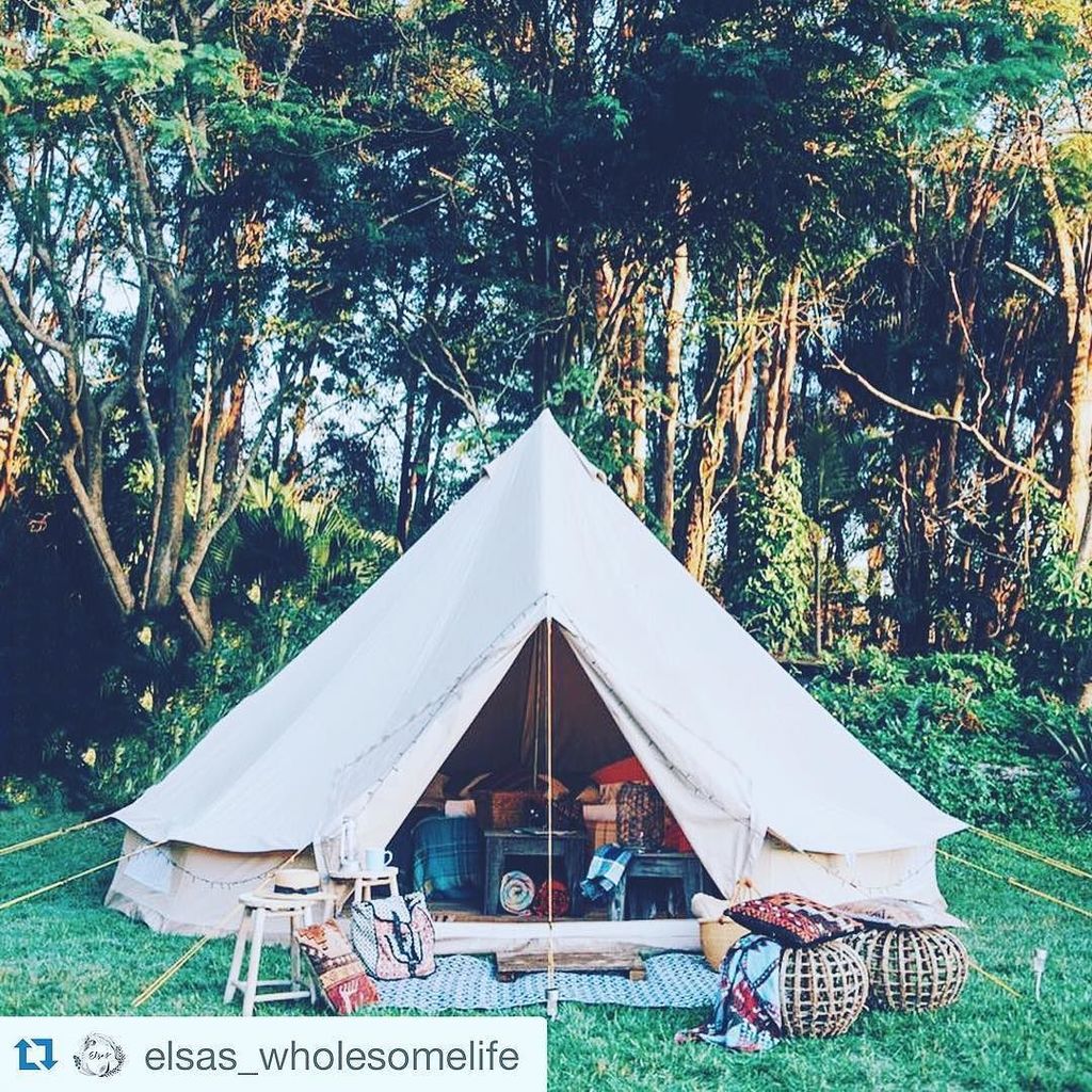BeyondSkinTweet's tweet image. Holiday goals 🌲🍁🍄🔥 #ecolife  #eco
