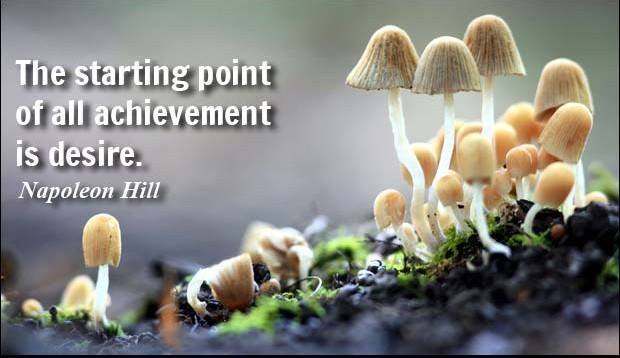 matrasplatform's tweet image. What is your desire? Try Matras Platform, maybe it will help you to achieve all your goals... #goals #desire #life …