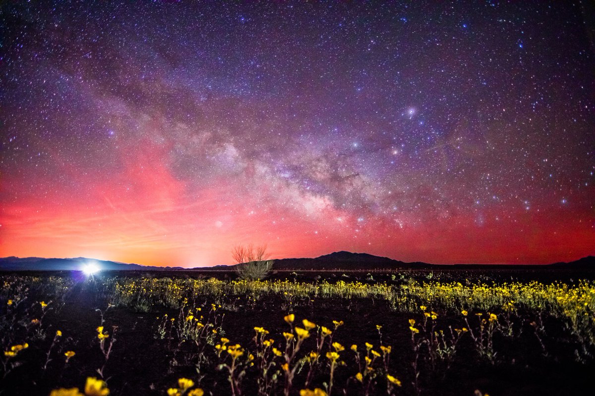Gizmodo's tweet photo. The Death Valley super bloom looks incredible: https://t.co/JFEXaIu7Ew https://t.co/pLqMlP1rPt