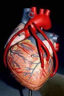 Investor: I'm heartbroken at Gastonia man's betrayal. bit.ly/1SCKulD