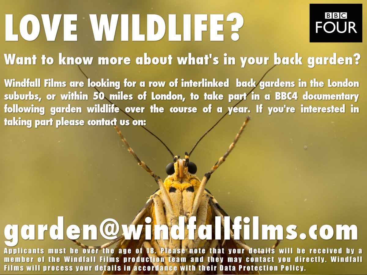 Excited about your garden and its wildlife? Why not take part in our @BBCFOUR documentary? #NationalGardeningWeek