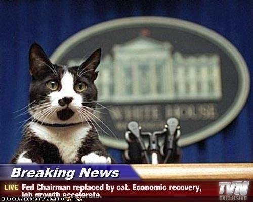 Auditfed's tweet image. 