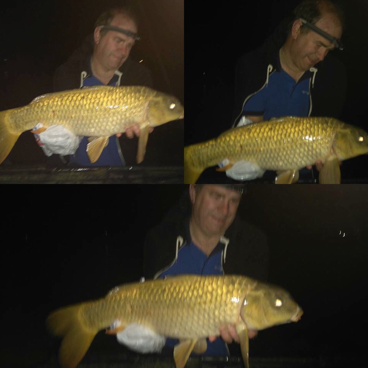 FusionBaits's tweet photo. @FusionBaits https://t.co/92mhpa1x1a