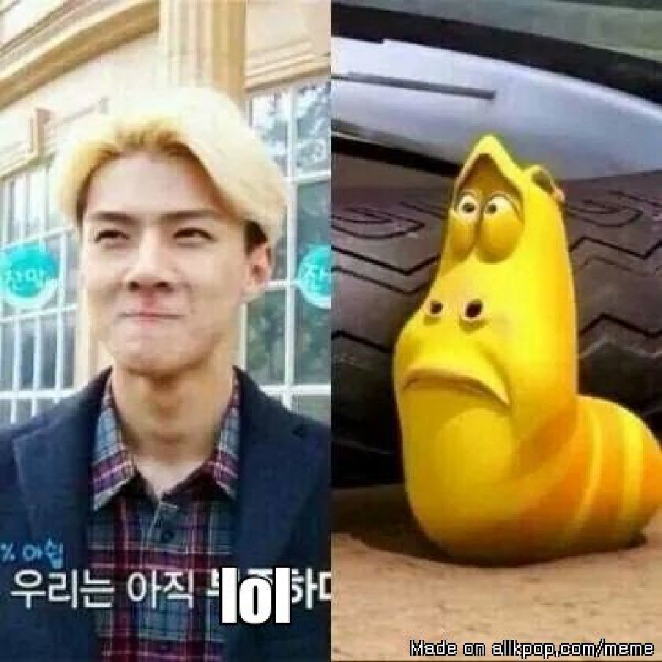 Cewekbangetid On Twitter 15 Memelucu Dari EXO Yg Bisa Bikin