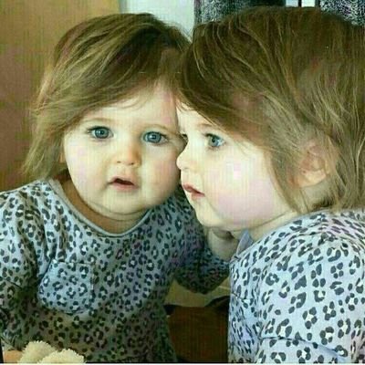 نور العقيلة tweet media