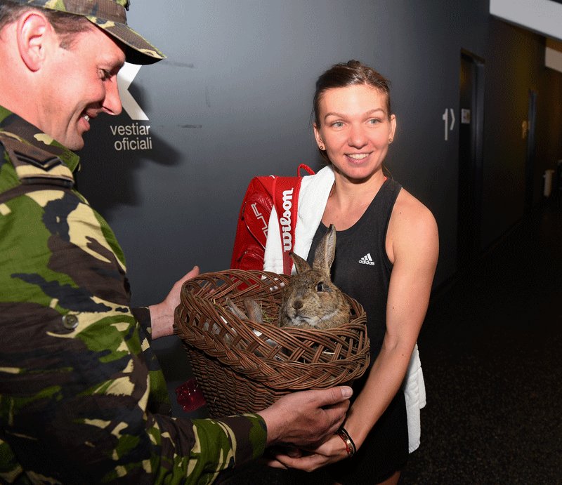 SIMONA HALEP - Página 2 CgAdOh-UkAEeeti