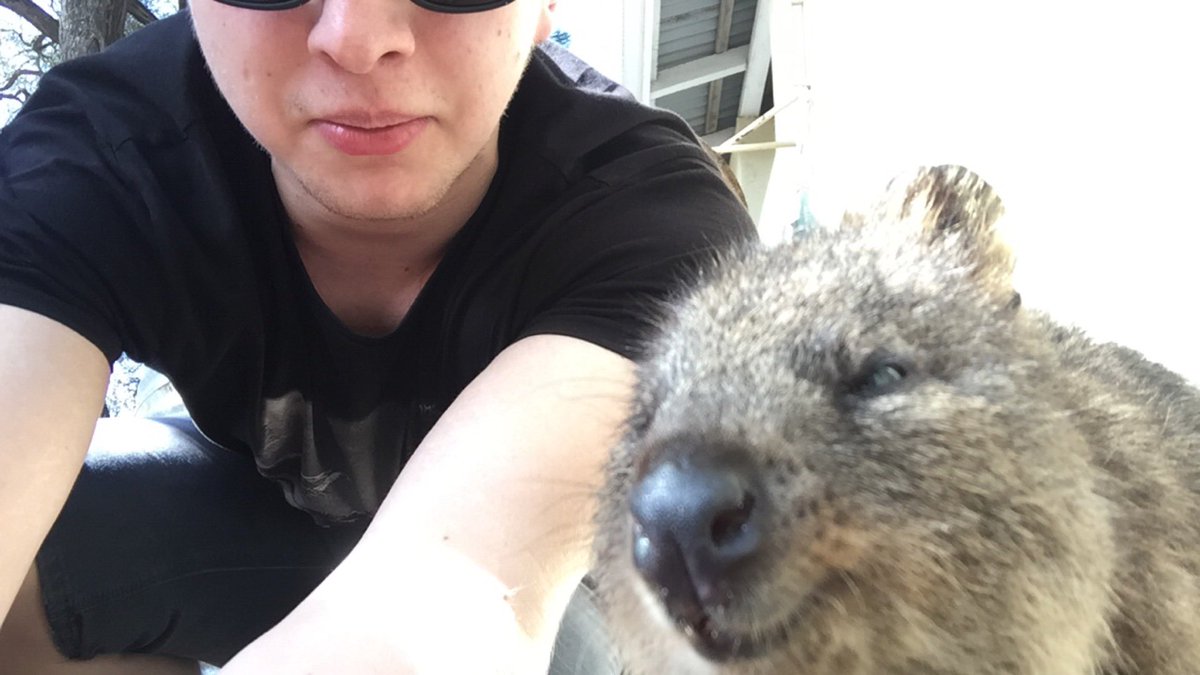 Ryan Gilmour tweet media