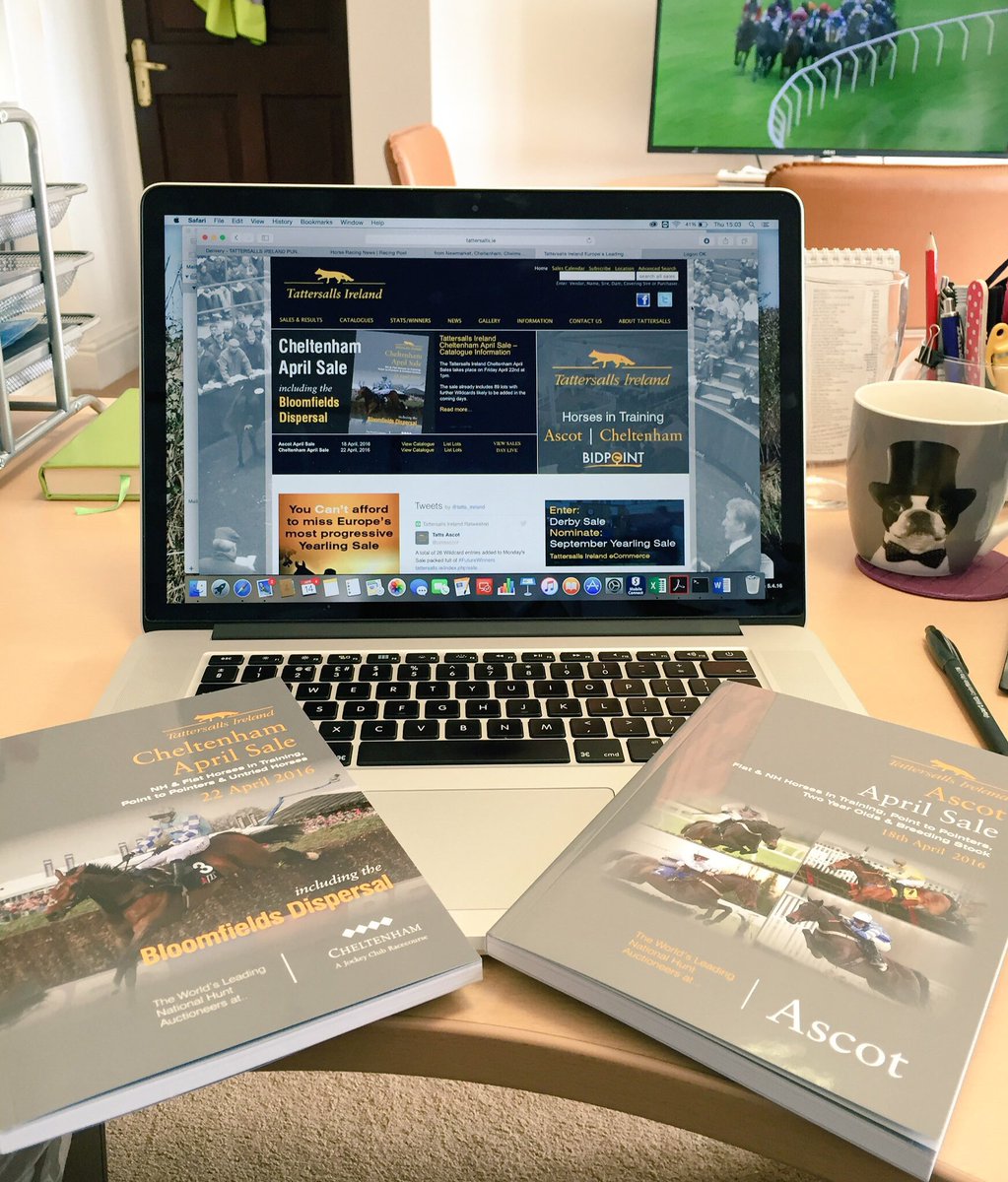 Niamh Spiller (@niamhspiller) on Twitter photo Exciting week ahead with @tattsascot Monday & <a href="/tattscheltenham/">Tattersalls Cheltenham</a> on Friday feat. Bloomfields Dispersal #seeyouthere Exciting week ahead with @tattsascot Monday & <a href="/tattscheltenham/">Tattersalls Cheltenham</a> on Friday feat. Bloomfields Dispersal #seeyouthere