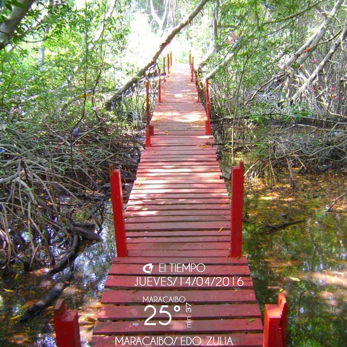 #NoticiasCatatumboTV