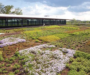 LPAinc's tweet photo. The Best Plants for Green Roofs https://t.co/oSm1im05tJ via @BuildingsMedia #ResearchBasedDesign #Sustainability https://t.co/wjLpok13ut