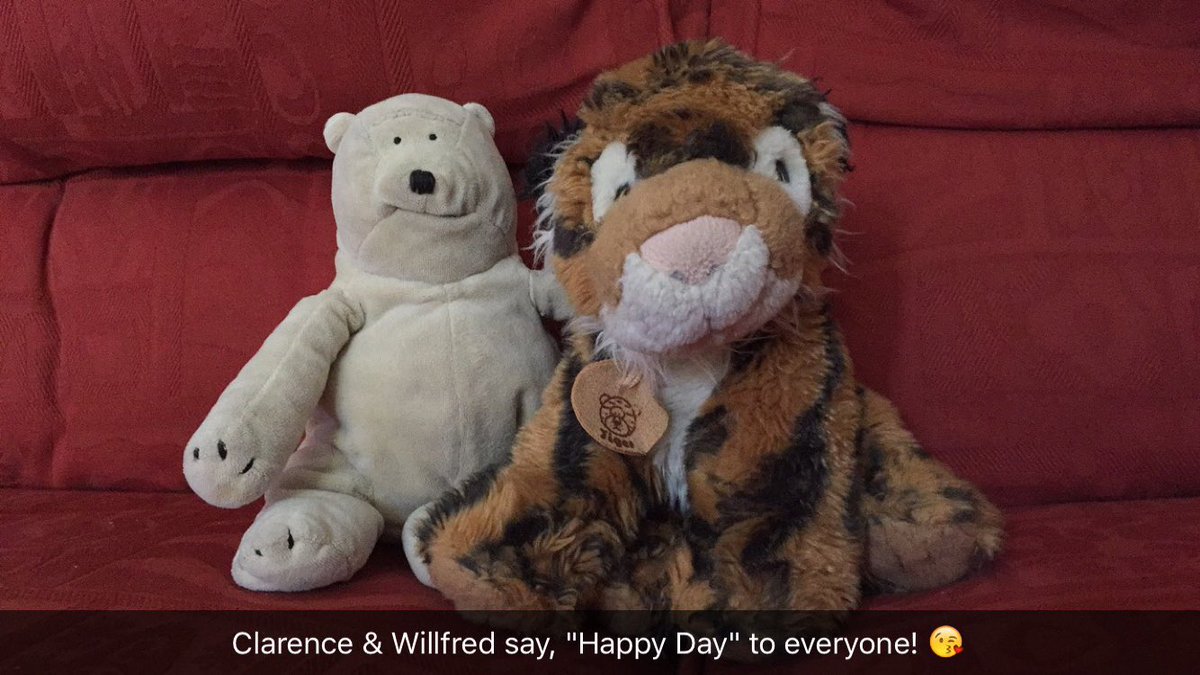 sherahViVa's tweet photo. My 2 buddies & I want to wish you all, a wonderful almost Friday!
#allLove ❤️💛💚💙💜
#clarence #willfred #stuffylove https://t.co/4rBGWEKvZl