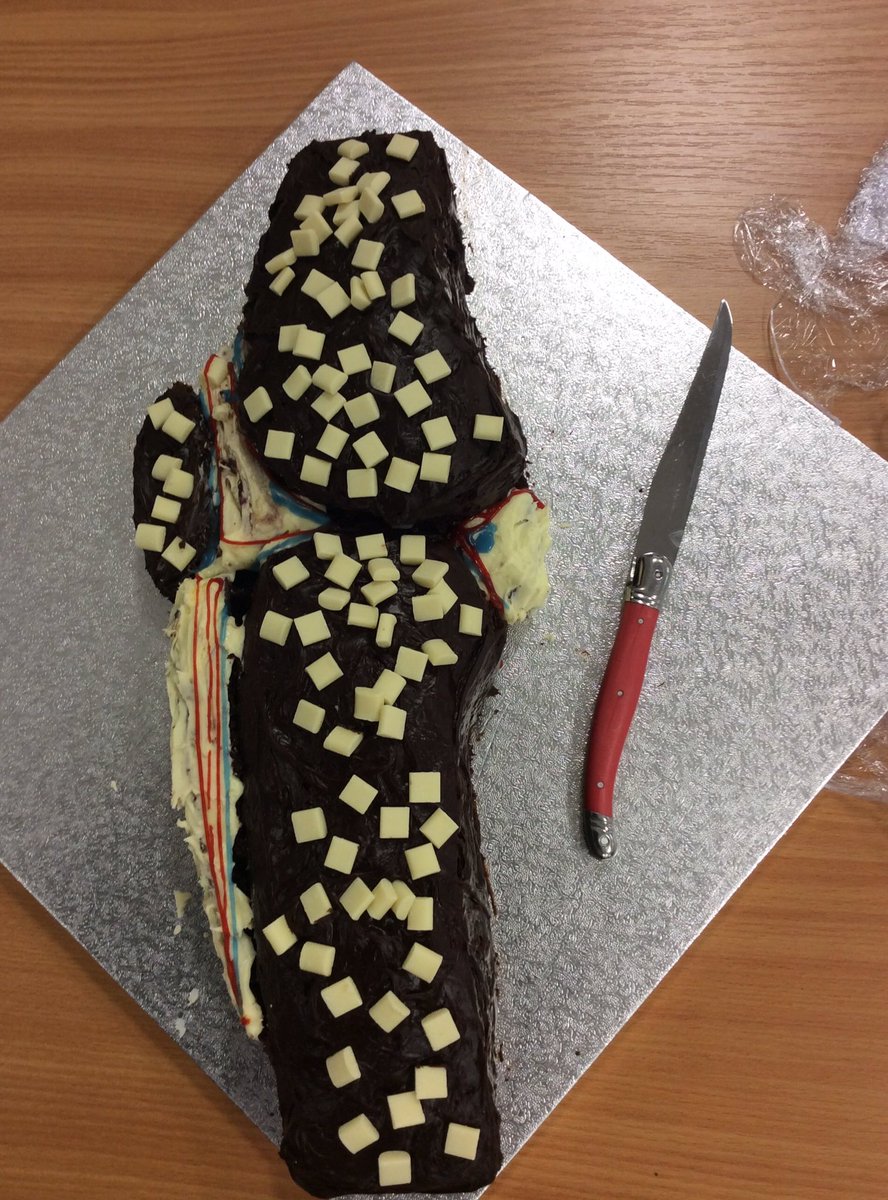 ZoeBater's tweet photo. Best student cake ever! @loisjackson88 @dovelucy @AliaGrist @leegriffin82 @mcwadleyphysio  @RebeccaLownds https://t.co/1MoEHuUIWc