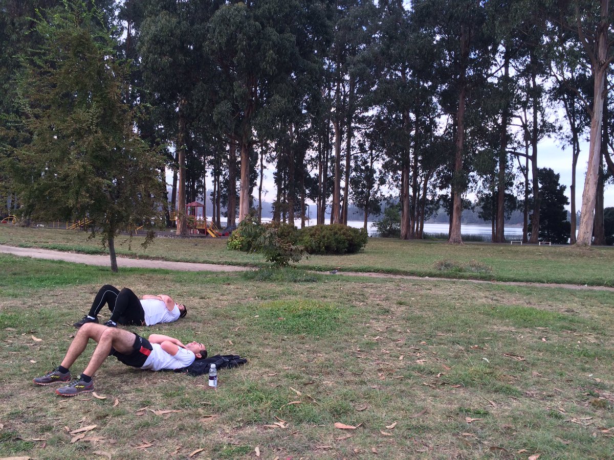 felipeperezcab's tweet image. #functionalperformance