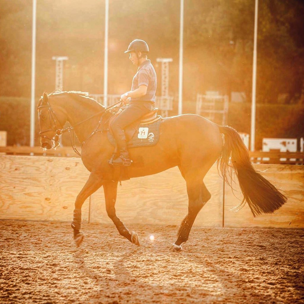 GCT_events's tweet photo. #TopShotThursday when the light hits just right... #LGCTMexicoCity https://t.co/1qREbO5msE