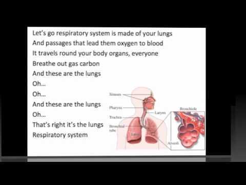 Meducation Anatomy tweet media