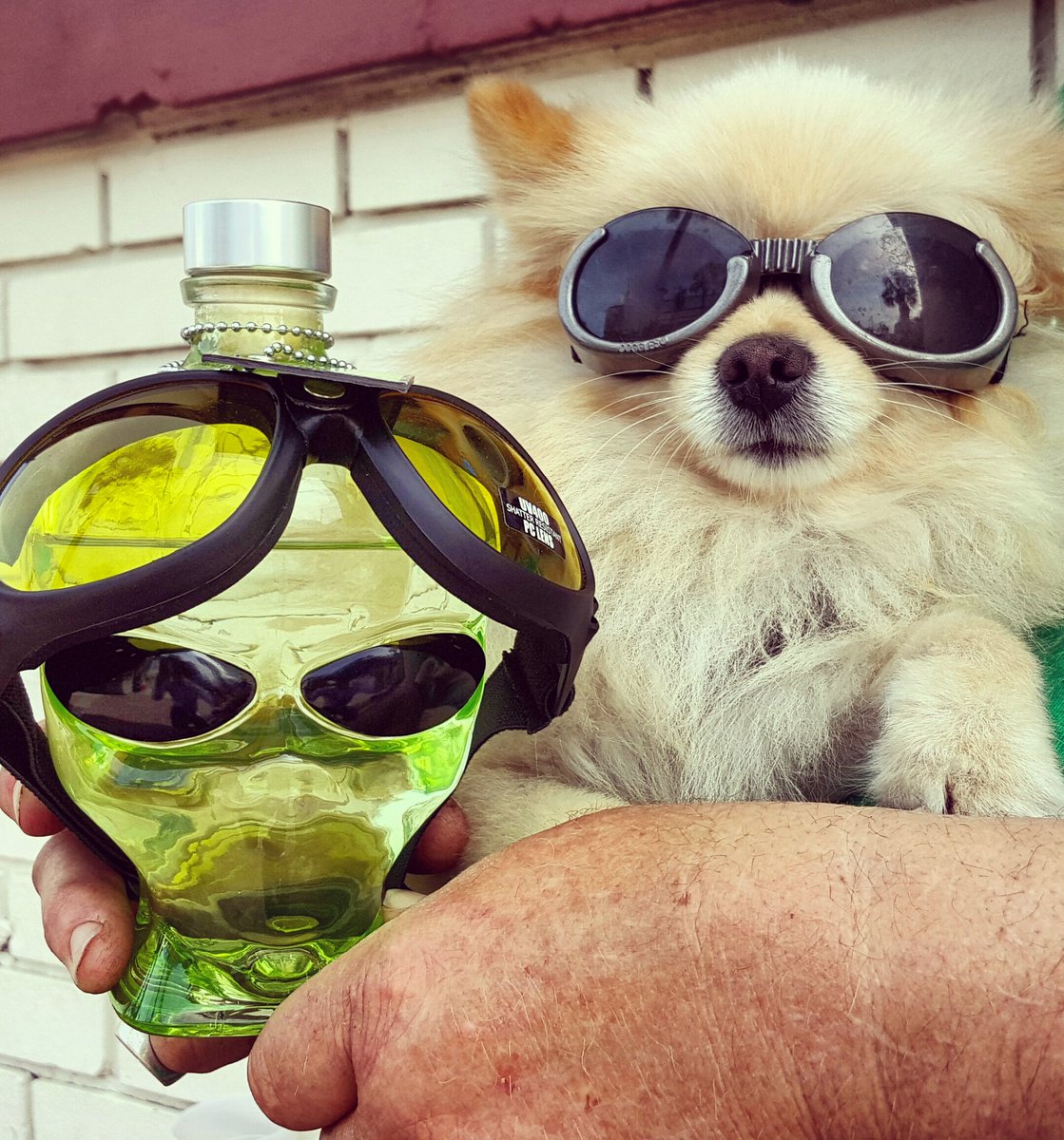 Making friends wherever I go #bestbuds