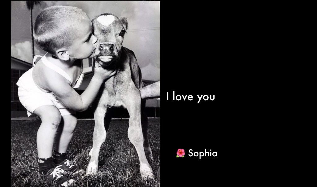 hazy_violette's tweet photo. "@ImSophiaPLMS: #IAmChoosingLove #Spiritchat 🌺 https://t.co/PhH8Aaf4xE" #hour4peace