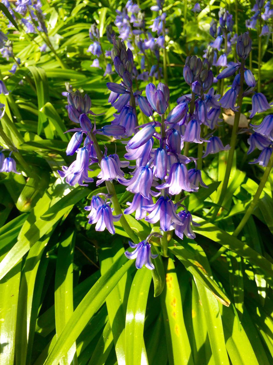 We're starting to hope that Spring is finally here... #Spring #April #freshphotohouse #photooftheday #blossom