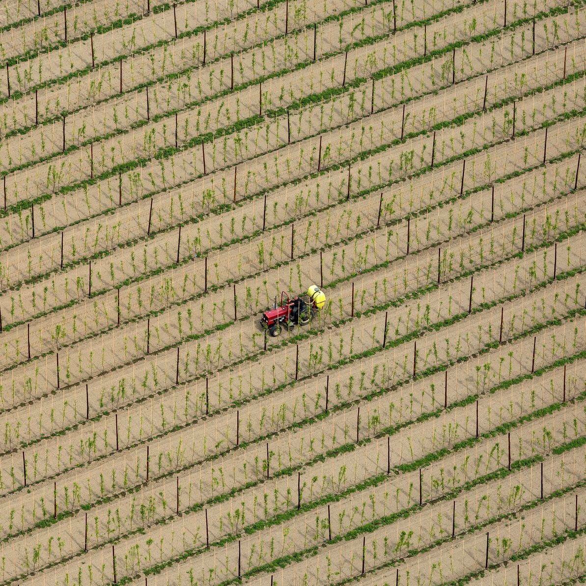 Nice picture from aerovista.nl