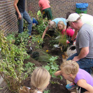 Looking forward to seeing what spring brings to our butterfly gardens at HPS! #CWFWildspaces