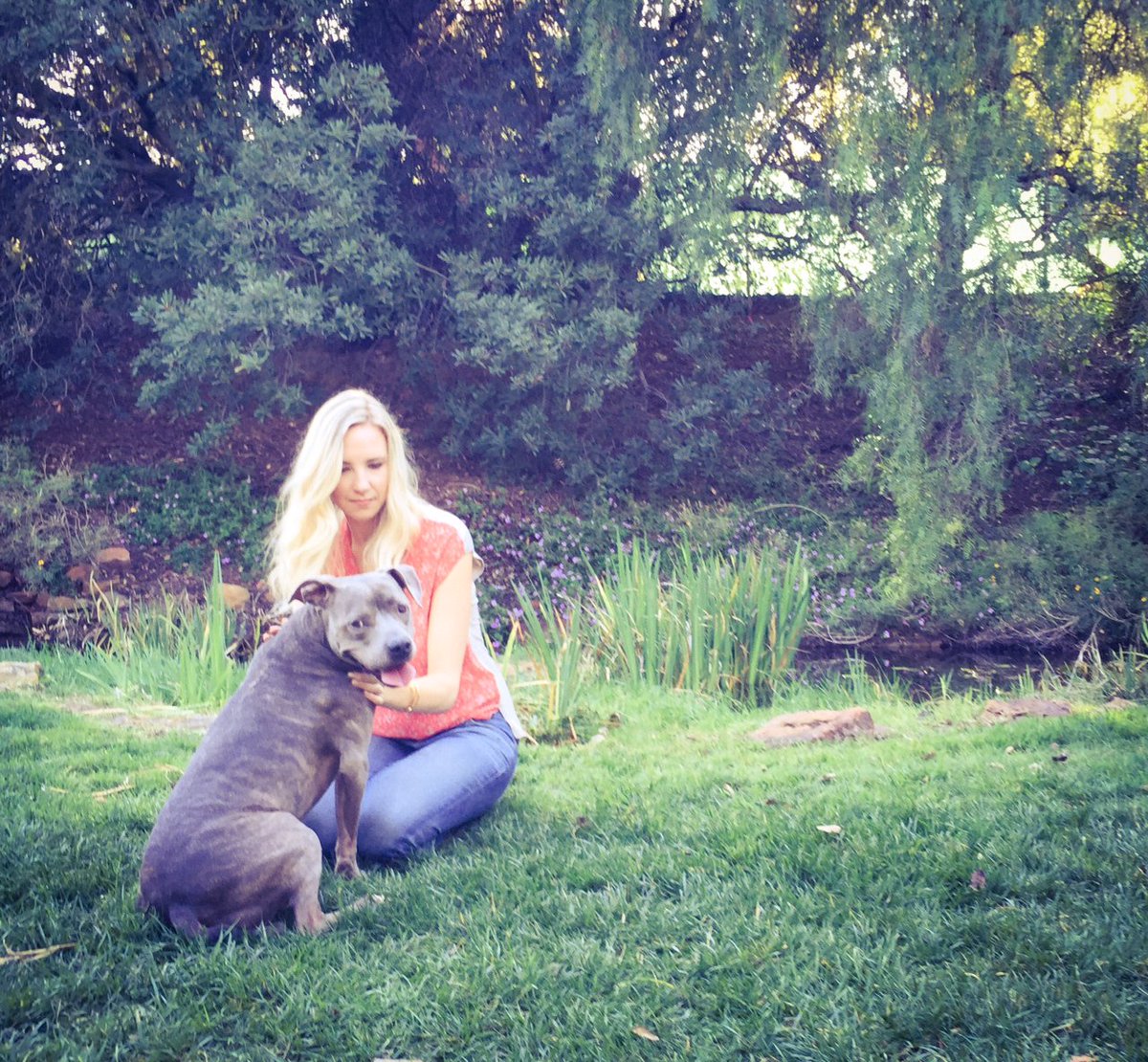 kopp_shannon's tweet photo. #tb book cover photoshoot! @fetchlightphotography #rescuedogs #projectunleashed #shelterdogs #rescue #adopt https://t.co/qEEU4nmkCU