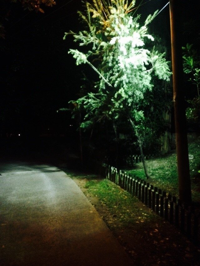 Nah di tempat ini <a href="/dayadwim/">Daya</a> &amp; <a href="/naomiangelia/">Naomi Angelia sea</a> ngeliat ada org yg berdiri #JDS