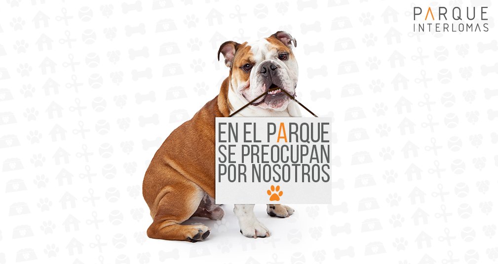 Disfruta de los beneficios del parque