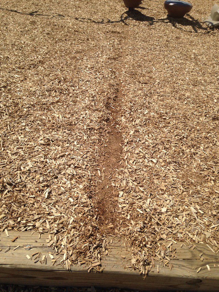 The playground path of Barcroft's dust devil. 3rd Graders were amazed! <a href="/APSVirginia/">Arlington Public Schools</a> #BRCPride