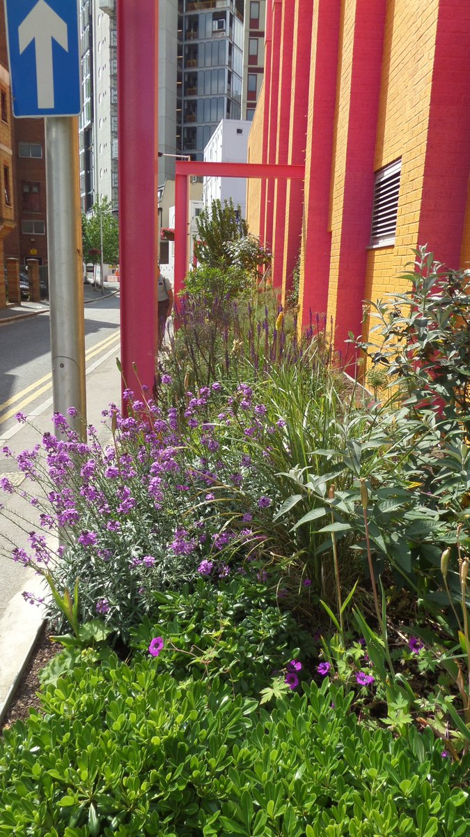 SallyOHal's tweet image. Not being put off by narrow spaces! This is landscape architecture! @GWTheatre @moore_d @cityscapesUK #WLAM2016