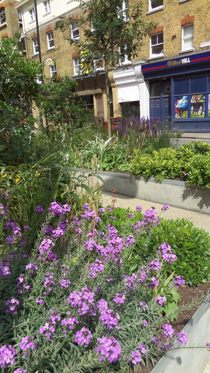 SallyOHal's tweet image. Not being put off by narrow spaces! This is landscape architecture! @GWTheatre @moore_d @cityscapesUK #WLAM2016