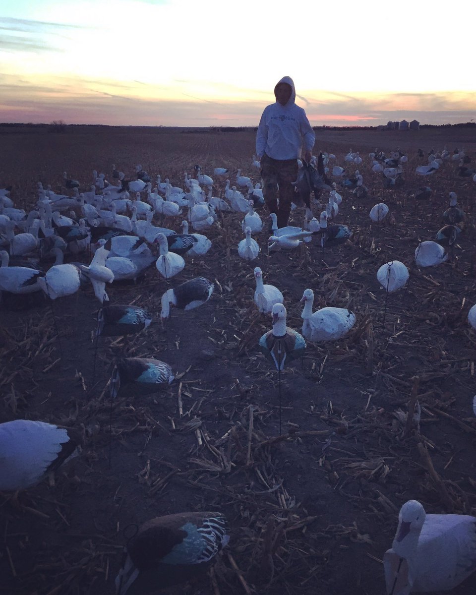 TimberOutdoors's tweet photo. As a day comes to end the hard work begins. https://t.co/jgZXMEndoy