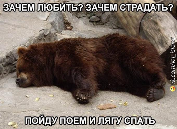 Веселый медведь картинки с надписями