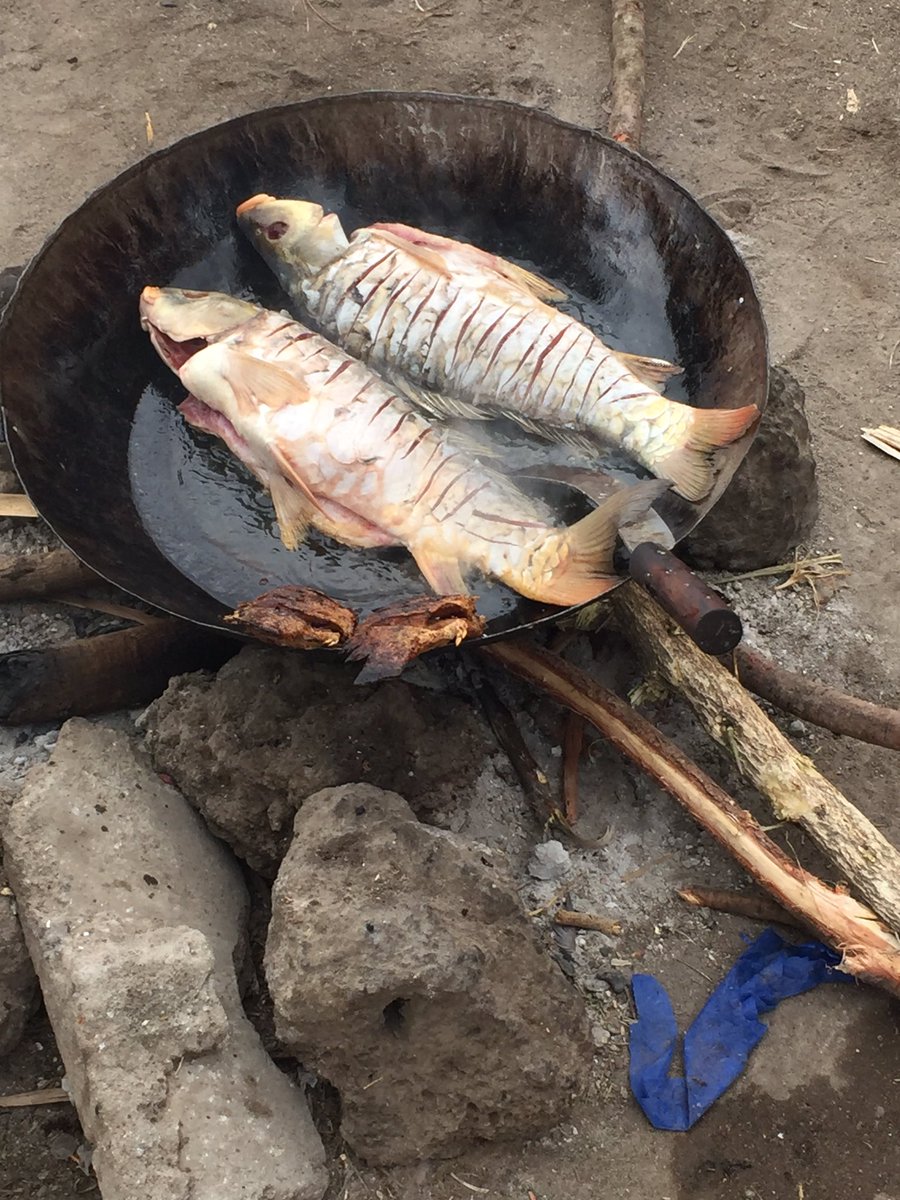 kidst2's tweet photo. #yummm #fishing #fish #healthy #rightfromthelake #loveit https://t.co/OsD0f8Mc8p