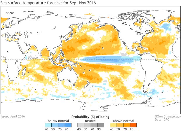 NOAAClimate's tweet photo. We're in an #ElNino Advisory AND a #LaNina Watch. Our ENSO Blog tells you what that means. https://t.co/QORThAXChq https://t.co/Qjpfr9LfND