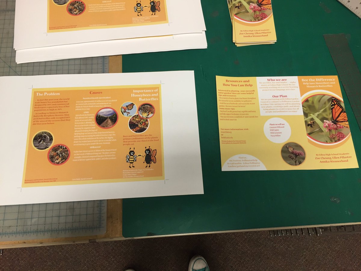 PollinatorHelp's tweet image. Made some brochures to distribute at the Linden Hills Co-op last Sunday