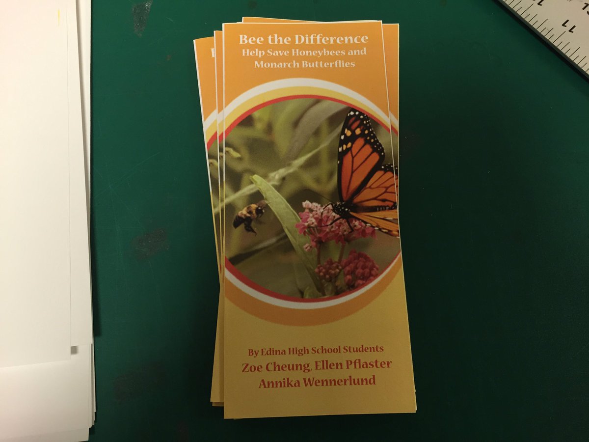 PollinatorHelp's tweet image. Made some brochures to distribute at the Linden Hills Co-op last Sunday