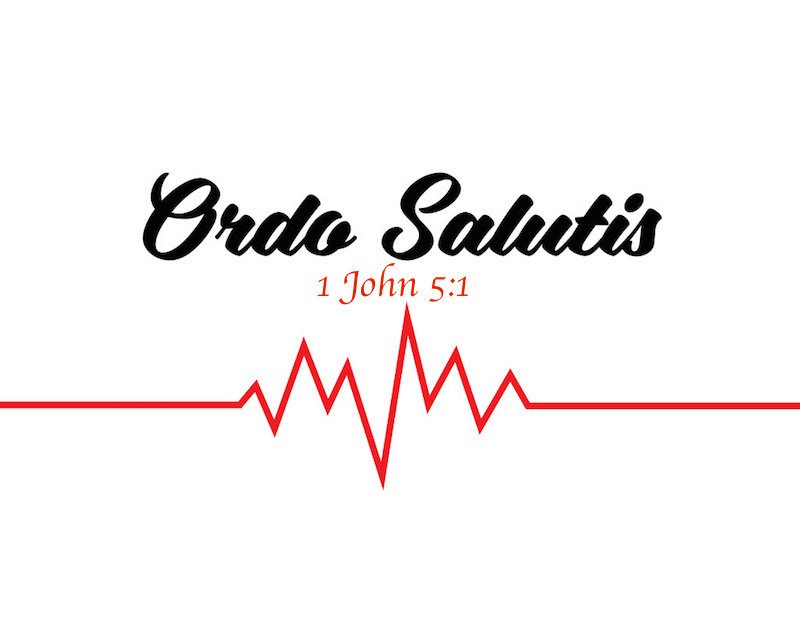 Soteriology101's tweet image. 1 John 5:1 Does Not Teach Pre-Faith Regeneration soteriology101.wordpress.com/2016/04/14/1-j…