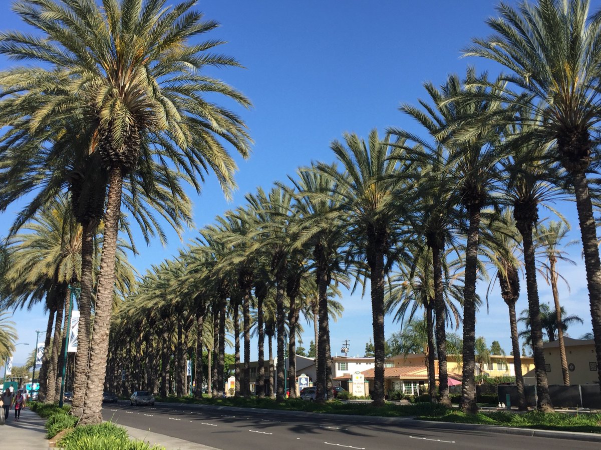 DebBruckschen's tweet photo. Hope you're having a blue sky kind of day, regardless of the weather outside. #attitude #wellness https://t.co/s4JfXakfKn