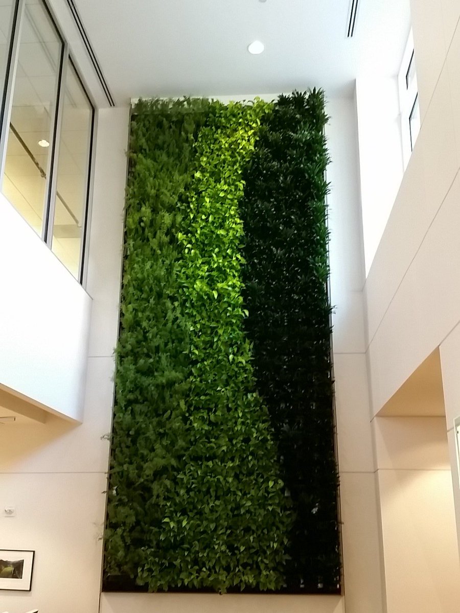 jeffvasquez8's tweet photo. My first visit to the Worldwide office and I'm greeted by this Living Wall -- wow! #GLT2016 https://t.co/HXpzkcWsXZ