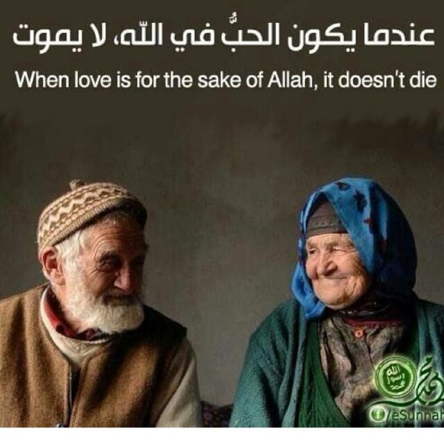 Sdee00's tweet photo. True love https://t.co/GnnjjZNqlc