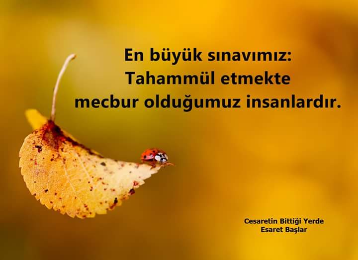 ☆ Özlem ☆ (@ozlem_cagr) on Twitter photo 