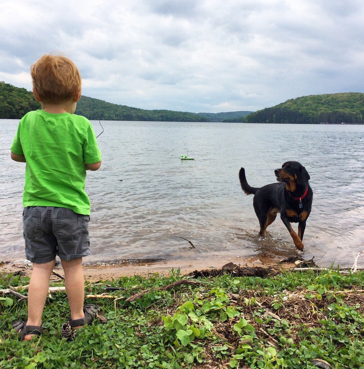 Canicross_US's tweet image. Perfect afternoon to be #lakeside RC boating and playing fetch with our best friend. It couldn't get any better.