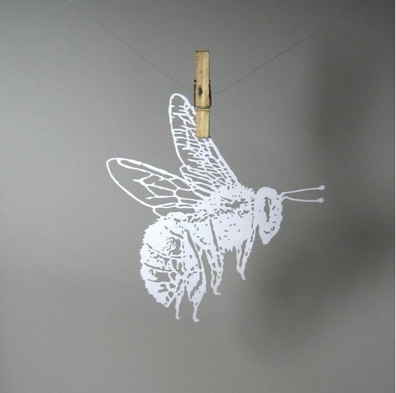 ApiHealthNZ's tweet image. Have a Bee-Utiful friday! #APIHealth