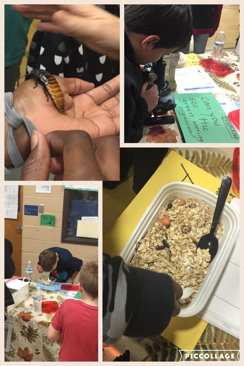 rbmartinette's tweet image. Love the real-world learning @AnneMannarino&amp;amp;@justsimplesci! Thanks for bringing the SWIRL program to @LynnhavenES.