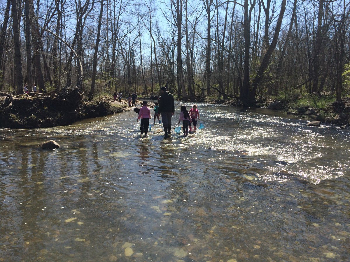 DevonshireES's tweet photo. Camp Rocks!! Can we go again next week? #spiritofccs https://t.co/gzrDEeJa43