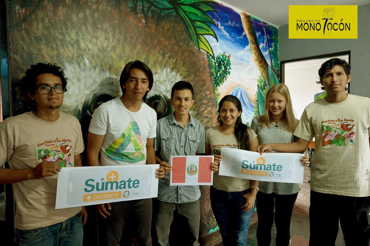 PROYECTO MONO TOCÓN tweet media